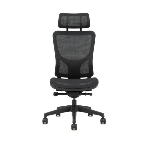 Ergonomic Mesh Chair