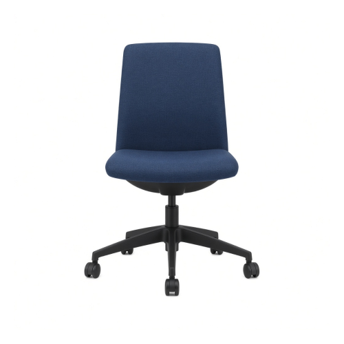 Training Chair